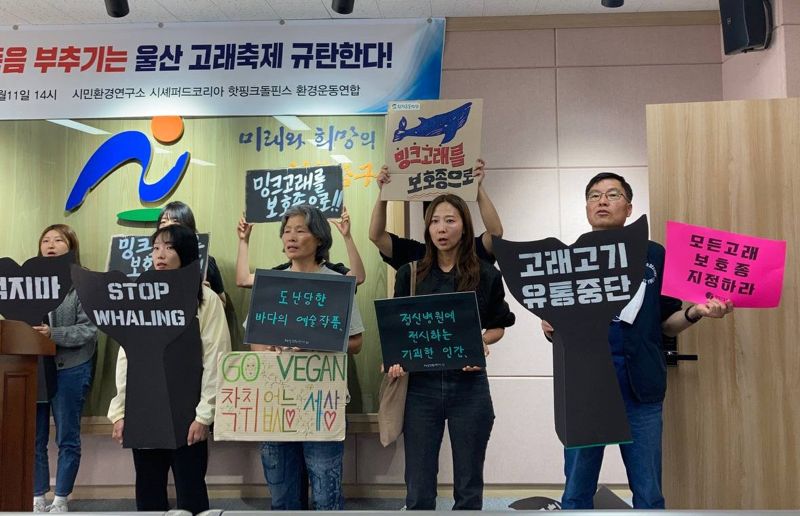 울산고래축제 개최와 관련해 국내 주요 환경단체 관계자들이 11일 울산 남구청에서 밍크고래의 취식과 유통을 반대하며 기자회견을 진행하고 있다.