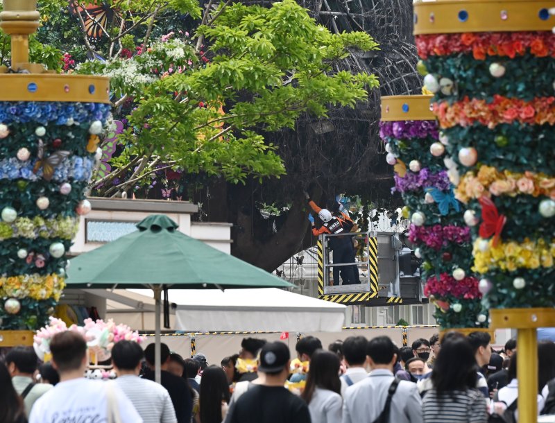 [용인=뉴시스] 김종택 기자 = 12일 경기도 용인 에버랜드 내 나무조형물(매직트리)에서 불이 나 20여분 만에 진화됐다. 사진은 소방관계자들이 화재 원인을 조사하고 있는 모습. 2023.05.12. jtk@newsis.com