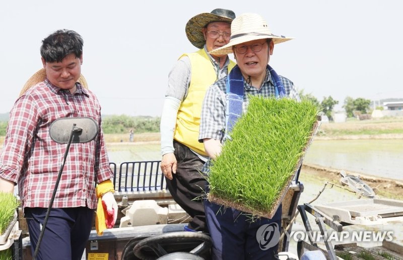 모판 보여주는 이재명 대표 모판 보여주는 이재명 대표 (안성=연합뉴스) 홍기원 기자 = 더불어민주당 이재명 대표가 16일 오후 경기도 안성시 죽산면 장원리에서 열린 '청년농업 현장방문 및 간담회'에서 모판을 보여주고 있다. 2023.5.16 xanadu@yna.co.kr (끝)