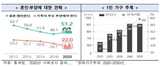 1인 가구 중 위험군 추정 및 1인 가구 추계 /사진=뉴스1