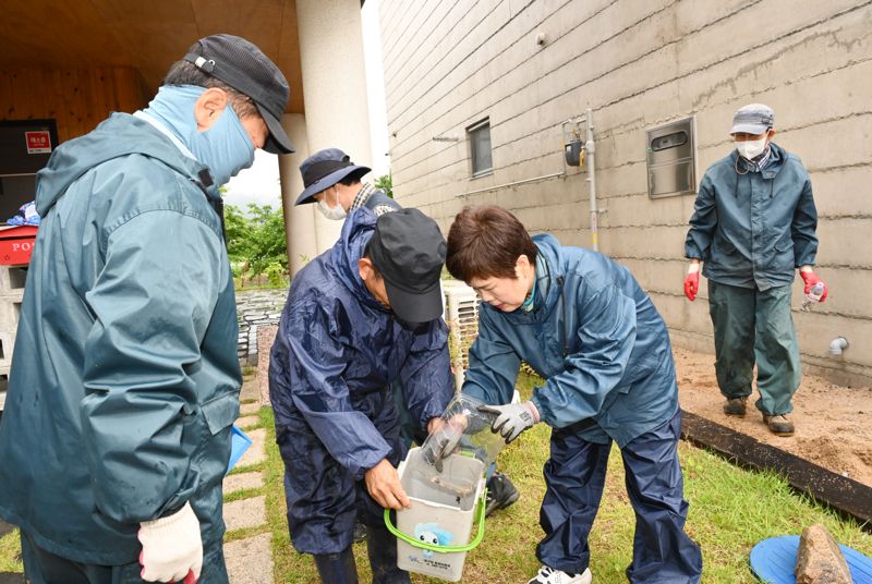 "로드킬 조심하자" 울산서 새끼 두꺼비 이동 시작돼