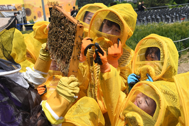 지난 20일 포스코이앤씨 주최로 인천 송도 센트럴파크 테라스정원에서 열린 ‘해피 벌스 데이’에서 어린이들이 꿀벌 체험을 하고 있다. 포스코이앤씨 제공