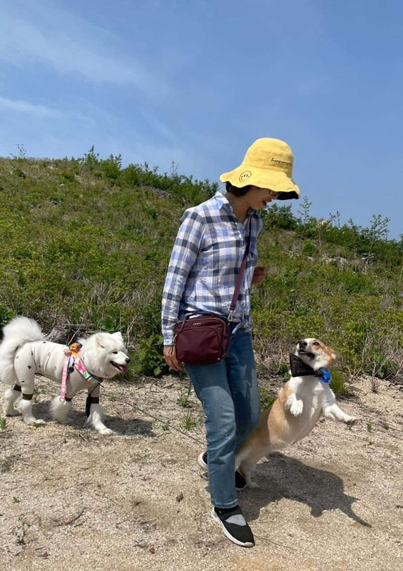 '반려견과 씨앗 뿌리고 쓰레기 줍고'...신한은행, 고성 산불 피해 돕는 '산타독' 봉사활동 진행