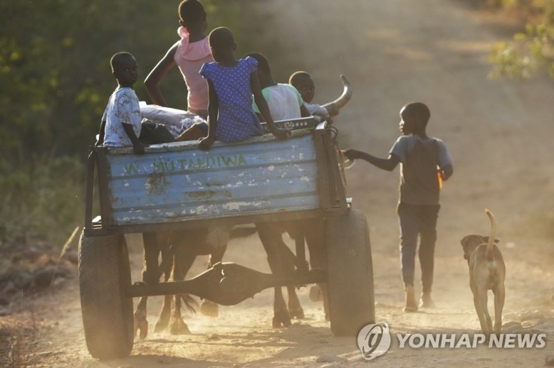 짐바브웨의 아이들 (AP Photo/Tsvangirayi Mukwazhi)