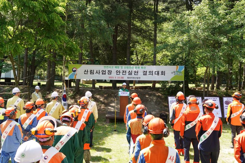 "안전관리체계 재정비"…산림청, 숲가꾸기 사업장 전면중단