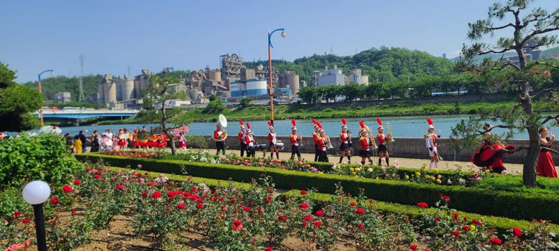 관광객 33만명 천만송이 삼척 장미축제 즐겼다