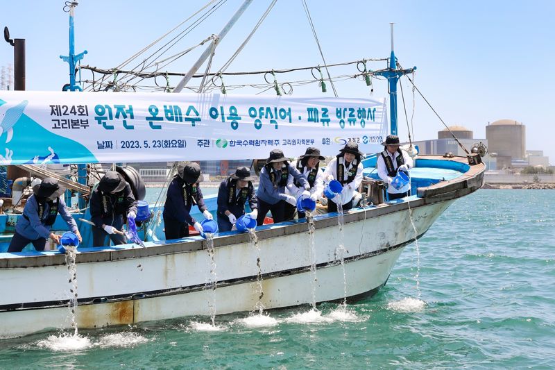 고리원자력본부, 원전 온배수로 양식한 어패류 5만 미 방류