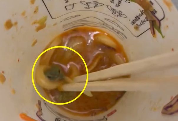 마루가메제면 컵 우동에서 발견된 개구리. 트위터 @kaito09061