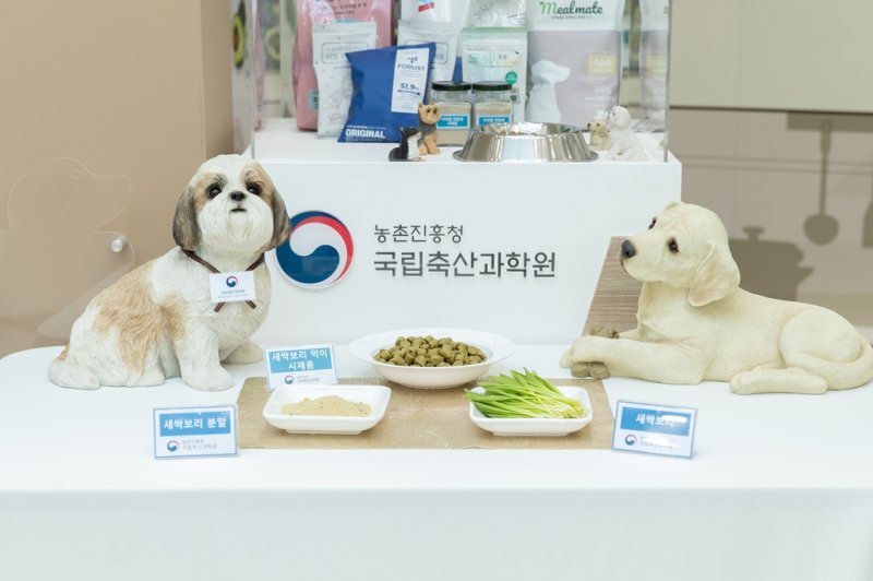 농진청은 25일 새싹보리 첨가 식품이 반려견 비만 예방에 효과적이라고 밝혔다. 농진청 제공