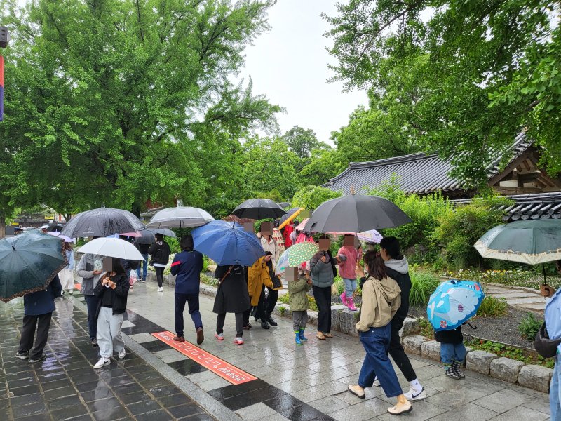비 내리는 전북 전주한옥마을에서 관광객들이 우산을 쓰고 걷고 있다..뉴스1 ⓒ News1 강교현 기자