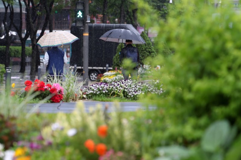 [서울=뉴시스] 조성우 기자 = 절기 입하인 6일 오전 서울 중구 서울광장에서 우산을 쓴 시민들이 이동하고 있다. 2023.05.06. xconfind@newsis.com