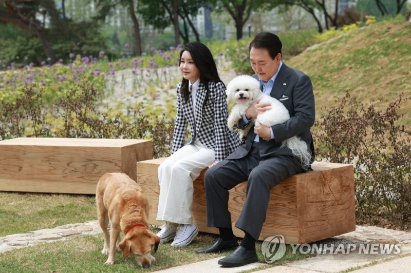 용산어린이정원에서 휴식하는 윤석열 대통령 부부 (서울=연합뉴스) 진성철 기자 = 윤석열 대통령과 부인 김건희 여사가 4일 서울 용산 대통령실의 앞마당에 조성된 용산 어린이정원 개방 기념식수를 마친 뒤 써니와 은퇴안내견 새롬이(왼쪽)와 휴식을 취하고 있다. 2023.5.4 [대통령실 제공. 재판매 및 DB 금지] zjin@yna.co.kr (끝) /사진=연합뉴스