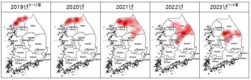 집중호우에 떠내려온 멧돼지 분변, 아프리카돼지열병 전파