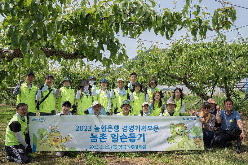 "자매결연 마을에 도움"...NH농협은행, 영농철 일손돕기 실시