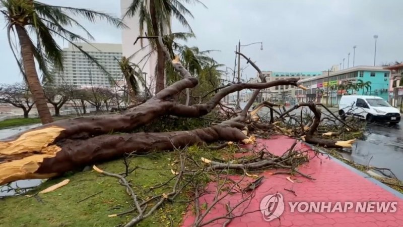4등급 '슈퍼 태풍' 마와르가 태평양의 미국령 괌을 강타한 25일(현지시간) 나무들이 강풍에 꺾여 거리에 쓰러져 있다. 연합뉴스