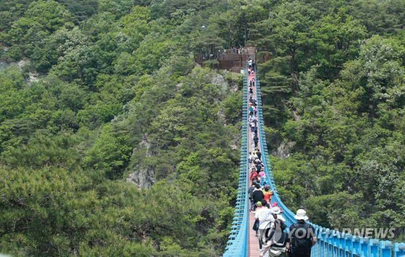 원주 출렁다리. 연합뉴스