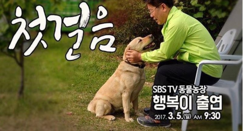이재명 더불어민주당 대표는 성남시장 시절이던 2017년 3월 5일 유기견 행복이와 함께 'TV동물농장'에 출연했다. (SNS 갈무리)