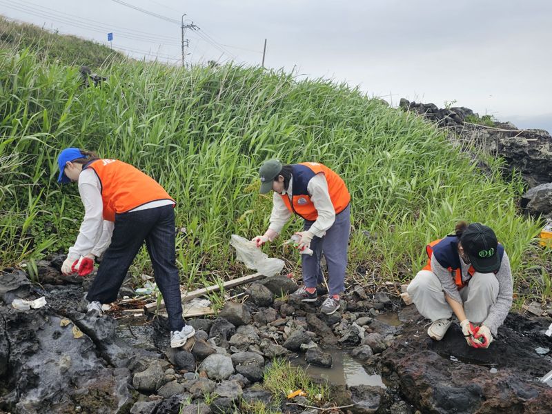 제주항공 직원들이 5월 31일 오전 제주 애월읍에서 해양 정화 활동을 하고 있다. 제주항공 제공