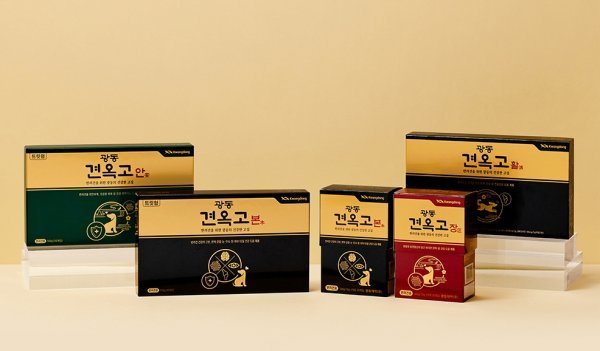 광동제약 료 반려견 영양제 브랜드 '견(犬)옥고'