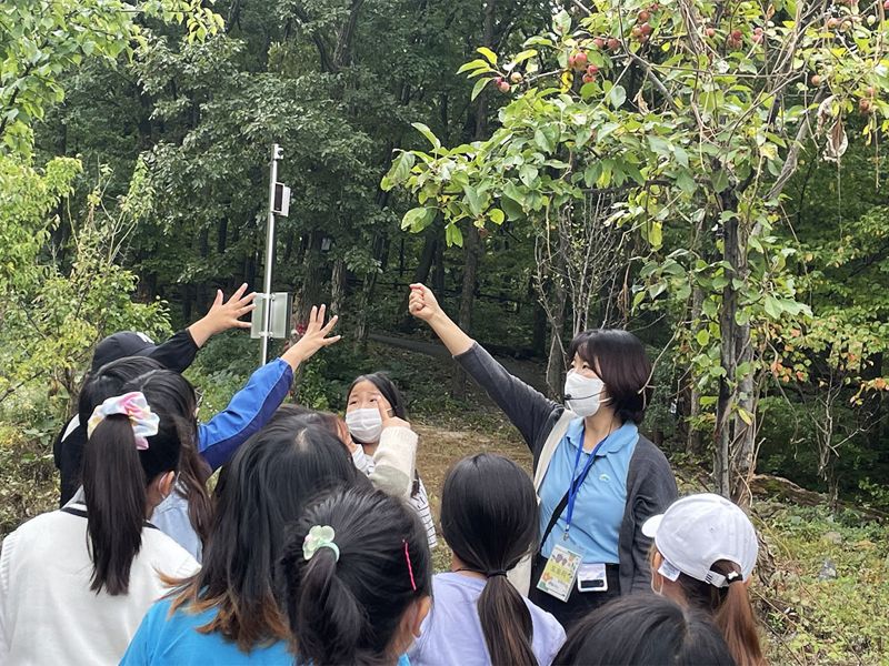 지난해 10월 경북 칠곡군 석적읍 국립칠곡숲체원에서 대구 대천초등학교 학생들이 탄소중립 산림교육프로그램 ‘오감빙고’에 참여하고 있다. 산림청 한국산림복지진흥원 제공