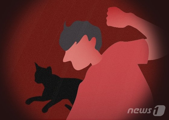 고양이·토끼 잔혹 학대해 카톡 '고어방'에 공유한 20대, 소름 범죄