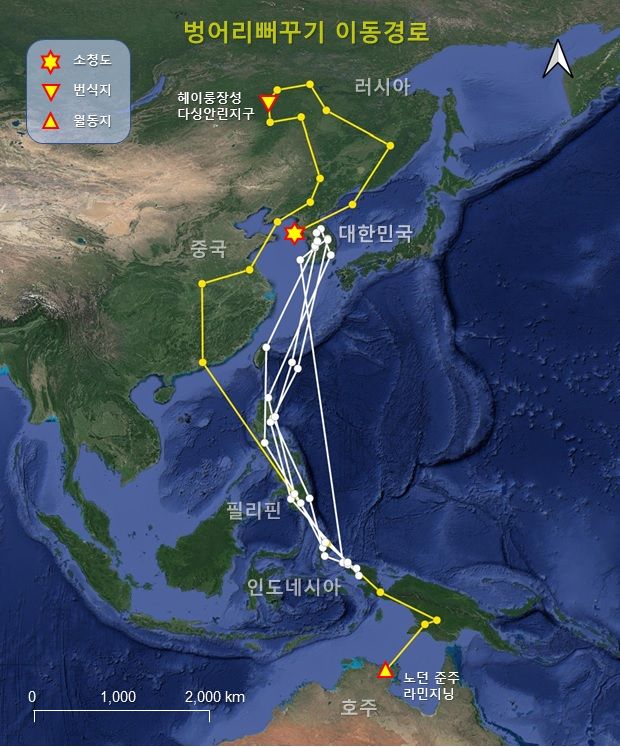 벙어리뻐꾸기·재두루미 '위치추적기'로 이동정보 새로 확인