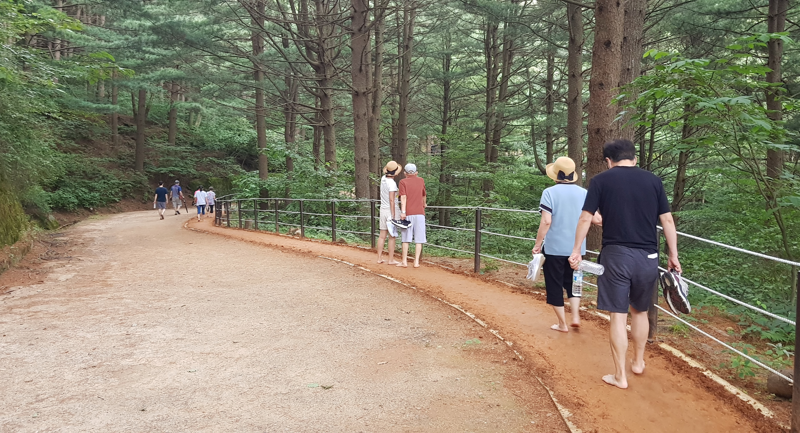 횡성 청태산자연휴양림에 조성된 황톳길. 휴양림 제공