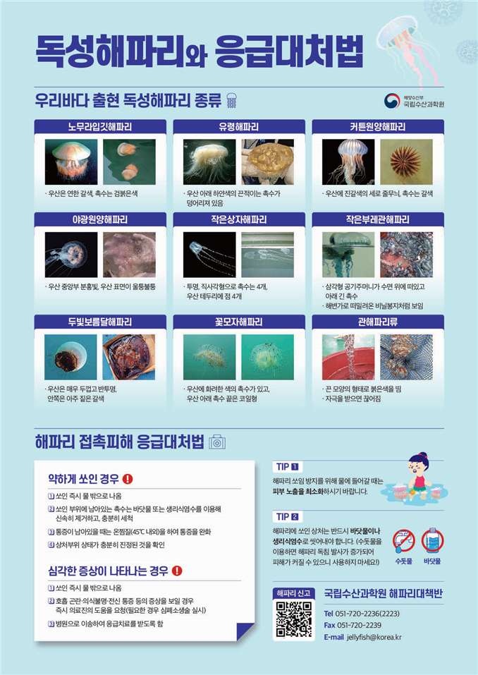 여름철 해파리 피해 예방 나선 전남도...주2회 이상 예찰 등 종합대책 시행