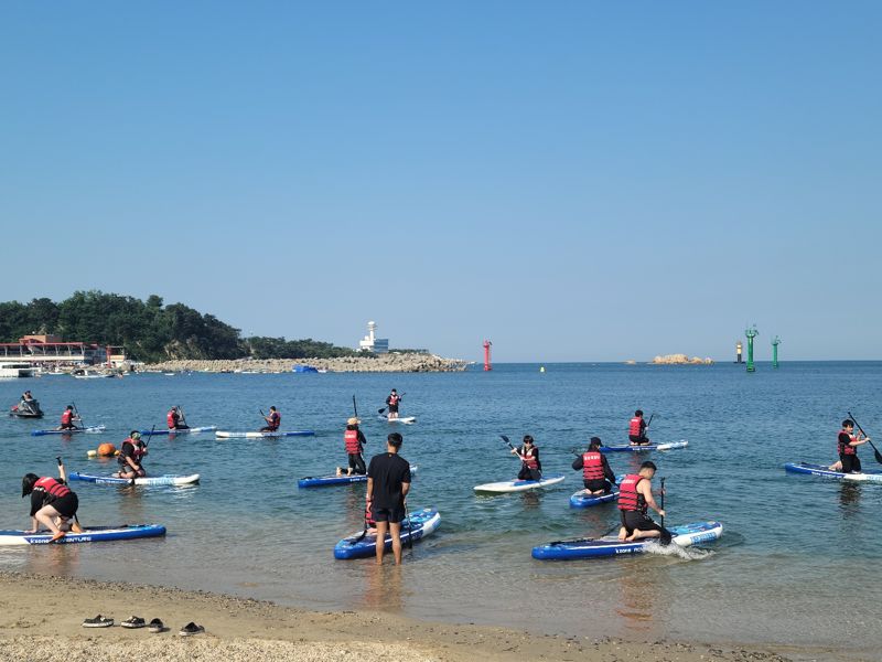 울산 일산해수욕장 패들보드 무료체험 교실 운영