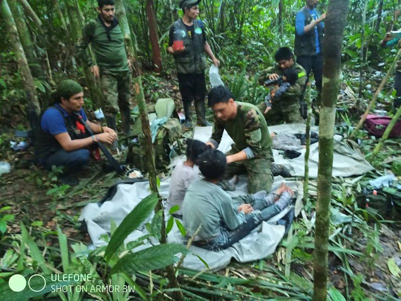 '아마존 생존' 4남매, 비행기 추락서 살아남을 수 있었던 이유는...