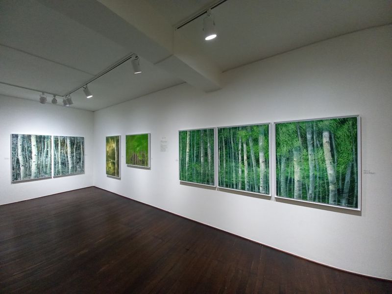 김경환 작가 작품