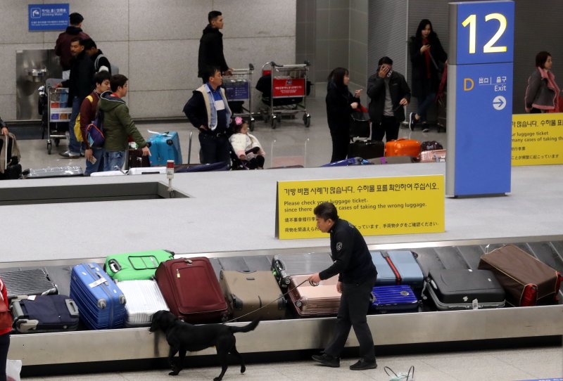 [인천공항=뉴시스]홍찬선 기자 = 인천공항 입국장에서 인천공항세관 소속 마약탐지견이 입국자들의 수하물들을 수색하고 있다. 2023.06.11. mania@newsis.com