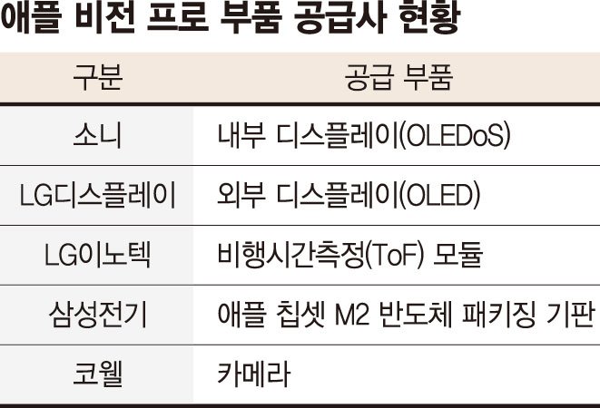 '애플 비전프로' 차기 공급처에 설레는 K디스플레이