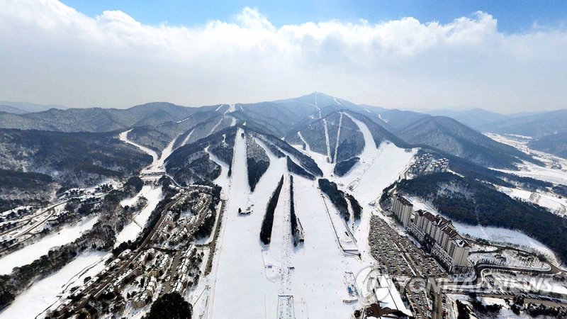 스키장 전경 <<용평리조트 제공>>