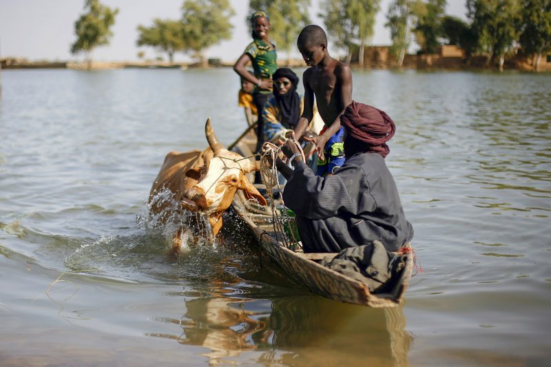 나이지리아 나이저강 인근의 모습. 사진은 기사와 직접적 관련 없음. /사진=뉴시스