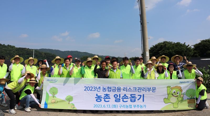 농협은행 리스크관리부문, 부추 농가 찾아 '일손 돕기'