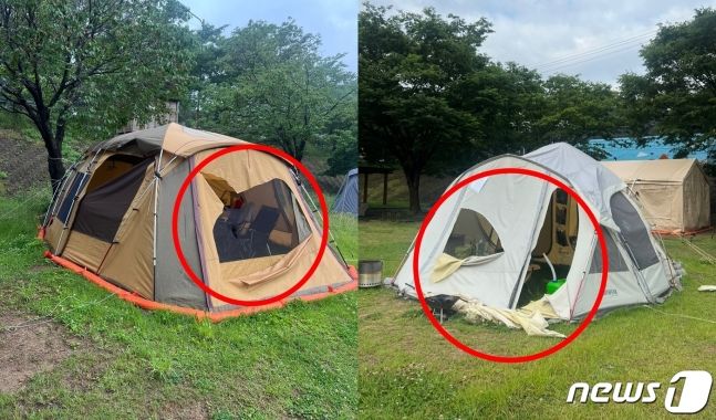 캠핑장서 난도질 당한 텐트들...오히려 "후련하다" 왜?