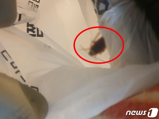 배달음식 포장 비닐에서 발견된 바퀴벌레 /사진=네이트판