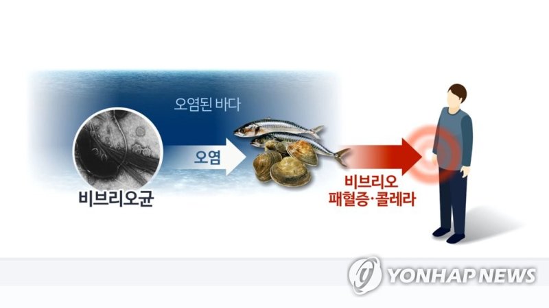 올해 첫 비브리오패혈증 환자 발생…