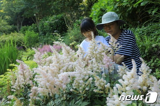 17일 태안 천리포수목원에서 노루오줌 새하얀 꽃을 관찰하는 탐방객들.(천리포수목원 제공)/뉴스1