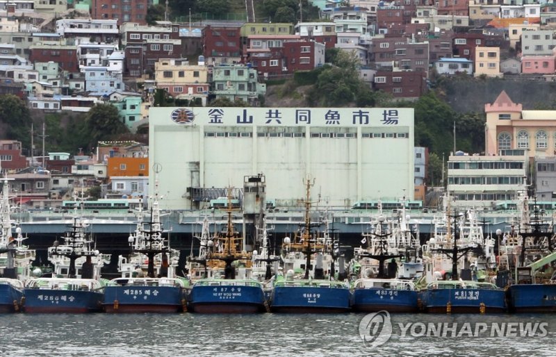 부산공동어시장 전경. 연합뉴스