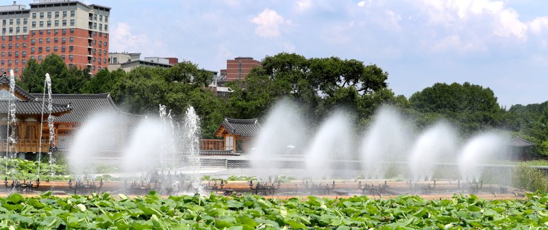 초여름 더위 속 전북 전주시 덕진공원 분수에서 시원한 물줄기가 뿜어져 나오고 있다./뉴스1 ⓒ News1 유경석 기자