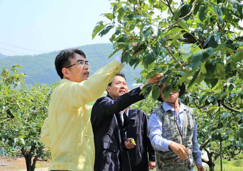 경남농협, 우박 피해 농가 현장 점검 *재판매 및 DB 금지