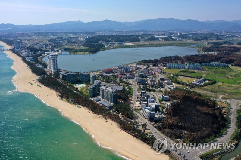 강릉 대형산불의 상처 더욱 짙어진 강릉 산불의 상처 (강릉=연합뉴스) 양지웅 기자 = 강릉 대형 산불 발생이 3주가량 지난 30일 강원 강릉시 경포 일원 산림의 산불 피해 나무들이 죽어 색이 변하면서 화마의 흔적이 더욱 짙어지고 있다. 2023.4.30 yangdoo@yna.co.kr (끝)