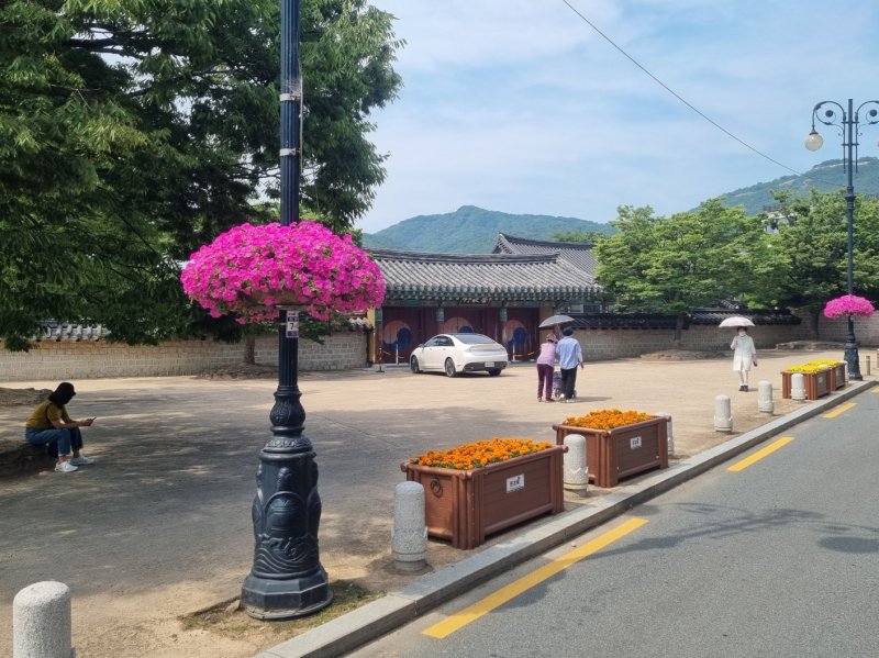 낮 최고기온이 30도를 웃돈 경남 김해 동상동 김수로왕릉 앞 거리에 양산을 쓴 시민이 길을 가고 있다. 2023.6.19. ⓒ 뉴스1 이현동 기자