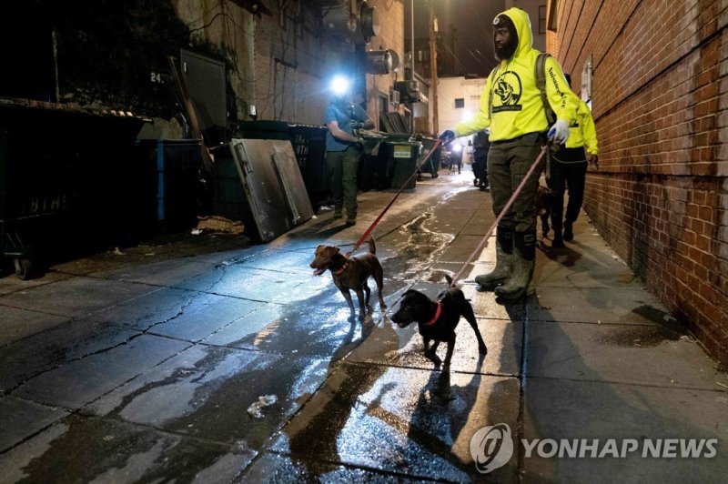 개를 동원해 미 워싱턴DC 내 쥐를 잡는 사람들 Rat hunters walk with their dogs down an alleyway of the Adams Morgan neighborhood of Washington, DC, on June 3, 2023. The District of Columbia consistently makes the top five list of America's rattiest cities, a problem made worse by warming winters, a rising population, 