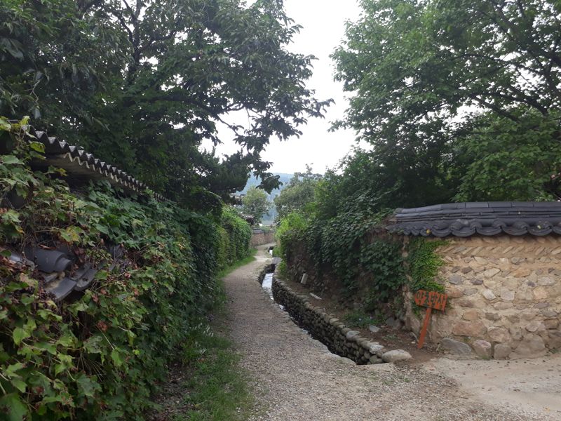 전통이 살아 숨 쉬는 돌담길, 고택의 예스러움, 한과와 장류 등 전통 음식문화의 보존 등을 인정받아 지난 2007년 12월 아시아 지역 최초로 슬로시티 인증을 받은 담양군이 5년 주기로 이뤄지는 평가에서 이번 6월 네 번째 재인증을 받았다. 담양군 제공