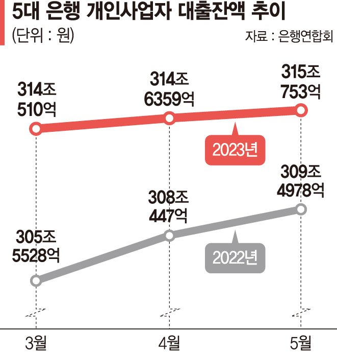 자영업자 대출 4개월 연속 증가… "부실 관리 나서야"