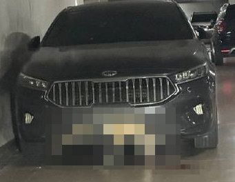 2023년 6월, 차량 앞 범퍼에 고라니 사체가 끼어 있음에도 이를 인지하지 못하고 다음 날까지 운전했던 차량. 온라인 커뮤니티 캡처 /사진=파이낸셜뉴스 사진DB