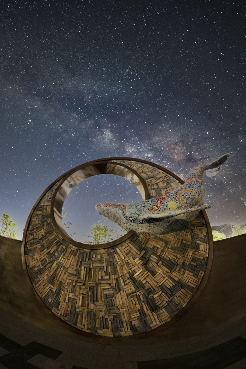 오로라파크에 설치된 고래 조형물을 배경으로 촬영된 은하수. 태백시 제공